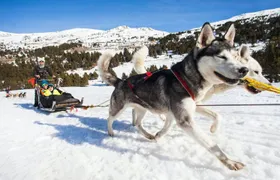 El Tarter area husky sleigh ride experience