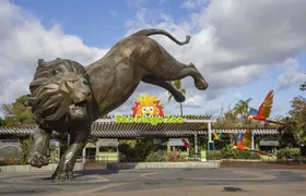 San Diego Zoo 1-day pass