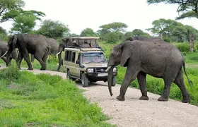 12 Days Kenya & Tanzania Combo Big Five Safari