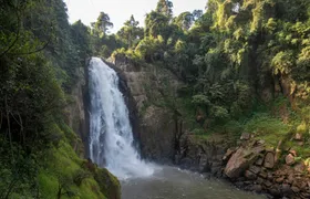Full-day Khao Yai National Park guided tour from Bangkok