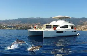 VipDolphins Luxury Whale Watching