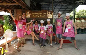 Half-Day Thai Cooking Class at Organic Farm in Chiang Mai