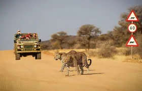 12 Day Classic Namibia Camping Safari