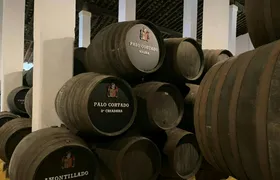 Jerez winery tour with wine tasting