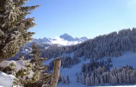 Exotic Manali Package