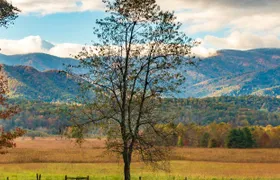 Cades Cove Self-Guided Driving Audio Tour