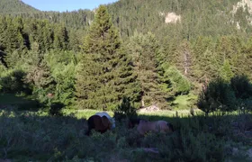 Horse Riding in the Heart of the Rhodope Mountains