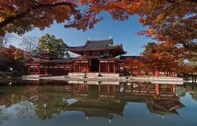 Uji Tea Ceremony and UNESCO Heritage Walking Tour