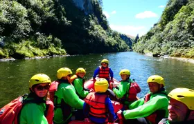 Shore Excursion: Scenic Rafting from Napier