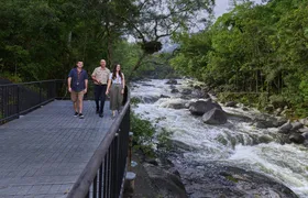Full-day Cape Tribulation, Daintree and Mossman Gorge with lunch
