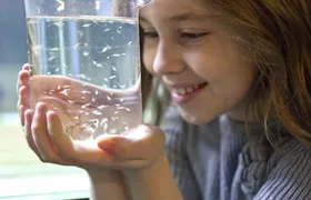 SEA LIFE Oberhausen tickets with behind-the-scenes tour