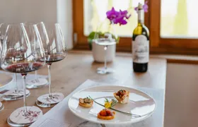 Gourmet Wine and Food Tasting in Montalcino
