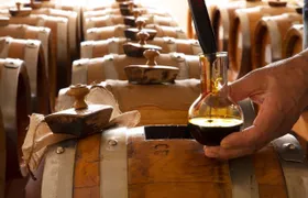 Vinegar cellar tour with balsamic tasting in Modena