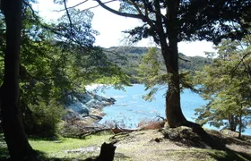 Half Day Excursion to Tierra del Fuego National Park