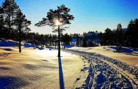 Skiing in winter wonderland
