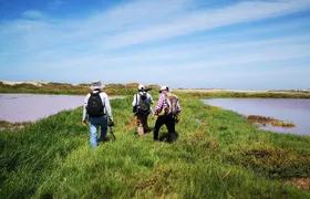 Nature tour, Pómac Forest with picnic breakfast included.