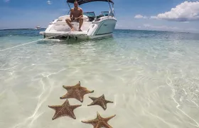 Private, luxury, custom charters to Stingray City, Snorkeling & More