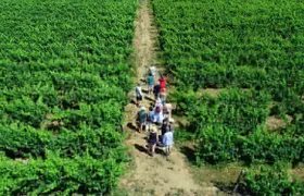 Douro Valley Tour - 3 Wine tastings, Lunch & river Cruise