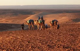 4 Day Private Desert Trek from M'Hamid to Chegaga