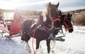 Christmas Horse-Drawn Sleigh/Carriage Ride from Salzburg