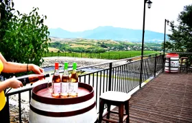 Rupel Winery - Wine Tastings, Tours & Activities