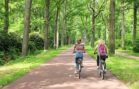 Eindhoven Highlights 2-Hour Bike Tour with Local Guide