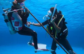 Naha: Full-Day Introductory diving & Snorkeling in the Kerama Islands, Okinawa