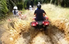 ATV & Canopy Tour From Flamingo Beach