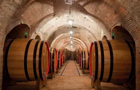 Montepulciano: Winery Tour & Tasting Experience