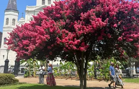 French Quarter Historical Sights and Stories Walking Tour