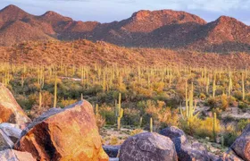 Saguaro National Park East E-Bike Tour