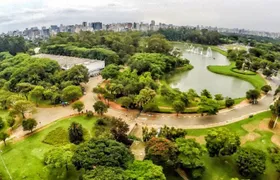 São Paulo Major Tourist Attractions Private Tour: 8-Hour (Santos City Pick-up)