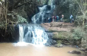 Nairobi Day Tour to Karura Forest Hike, Trail Bike & Nature Walk