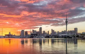 Discover Auckland City Tour