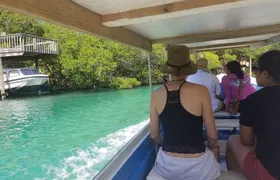 Mangrove Tunnel, Garifuna village,food tasting,wildlife encounter