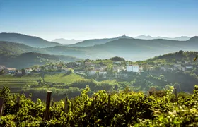 Taste of Slovenia Tour