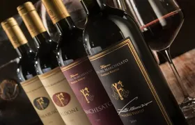 Bolgheri: Premium Wine Tasting with Winery Tour