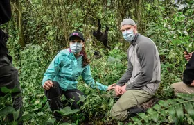 4-Day Gorilla Trekking and Nyiragongo Volcano Hike