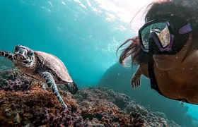 Caño Island all inclusive Snorkeling Tour in small groups