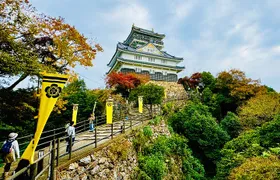2 Hour Private Scenic Mountain Castle Tour in Gifu