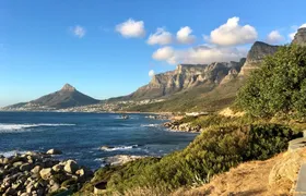 Full-Day best of the Cape, Cape of Good Hope and Stellenbosch Tour