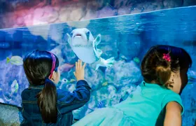 SEA LIFE Aquarium San Antonio tickets