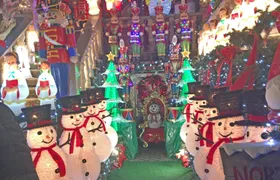 Brooklyn Christmas Lights Tour (at Dyker Heights)