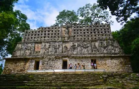 Lacandona Jungle, Yaxchilan and Bonampak Day Trip from Palenque