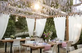 Wine and food tasting in an organic family winery