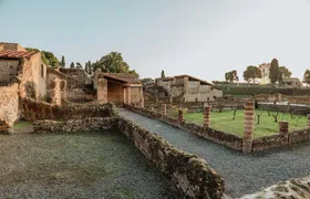 Herculaneum archaeological site access with audio guide