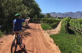 Franschhoek Cycle & Tasting Experience 4hr (Shared)