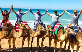 Private 4-Hour Tangier Tour