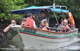 5 Hours Sharing Basis Kilim Mangrove Safari Boat Tour in Langkawi