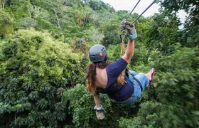 Jungle top Zipline Suspension Bridges, Monkeys and Sloth Hangout